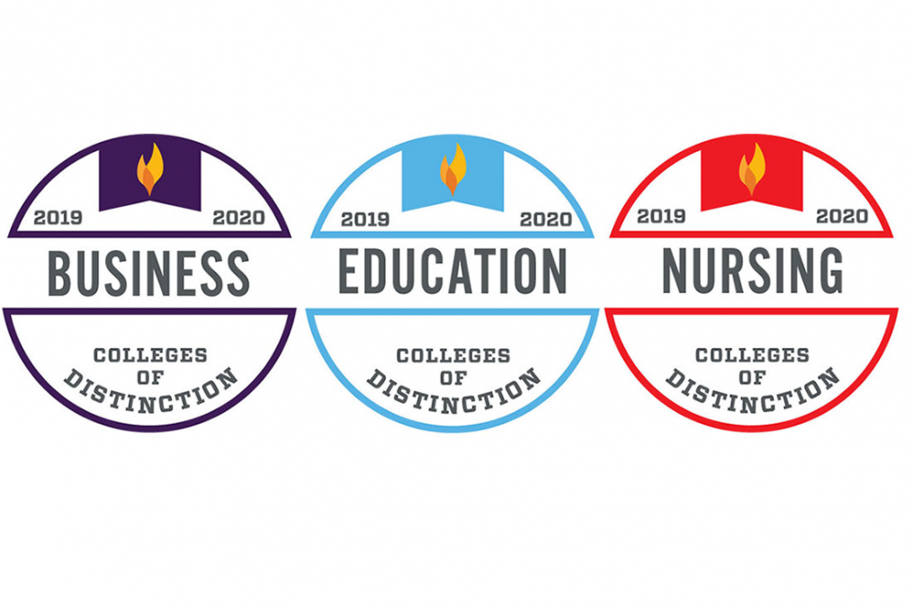 Graphics of the three badges